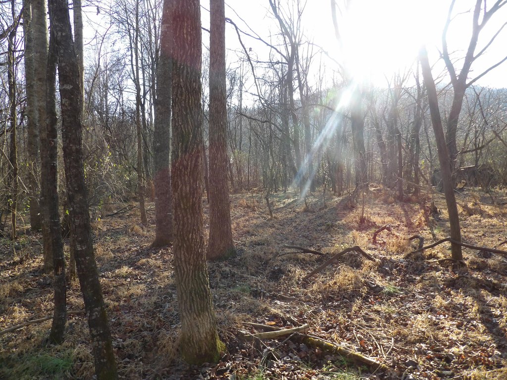 Picture 7