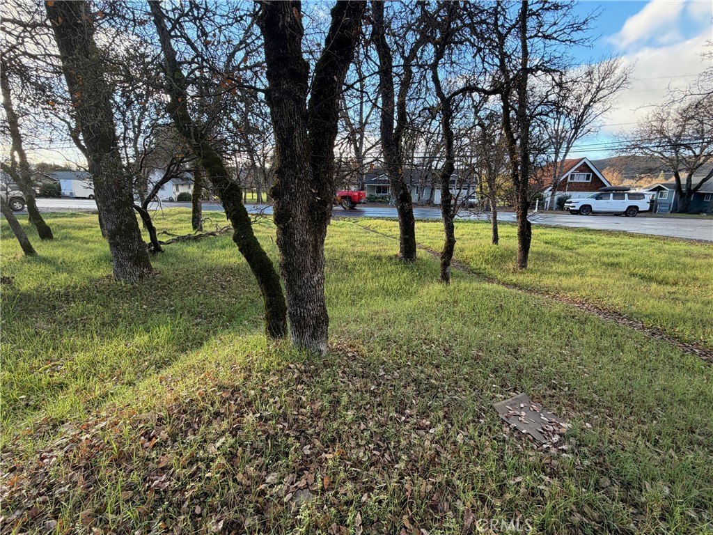 Picture 5