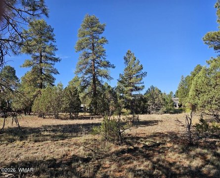 LAND - Overgaard, AZ