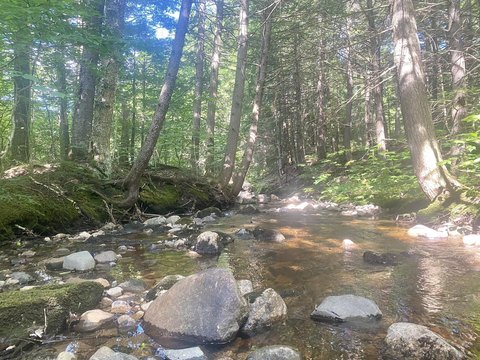 Eaton, NH Land Parcel