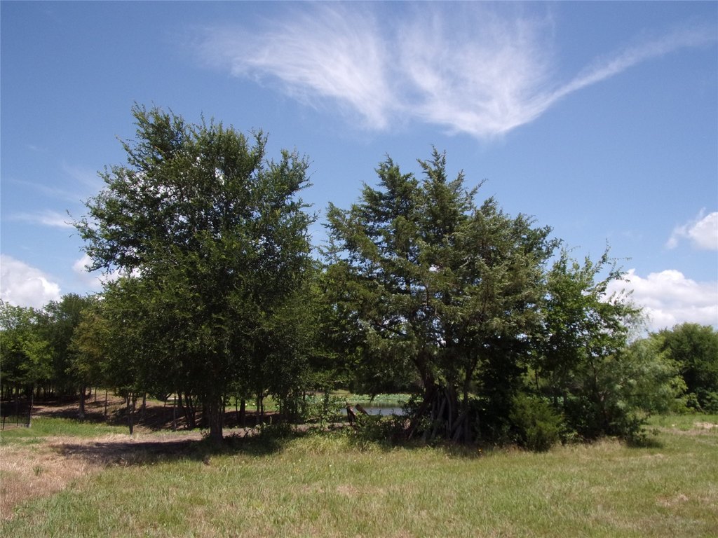Picture 13
