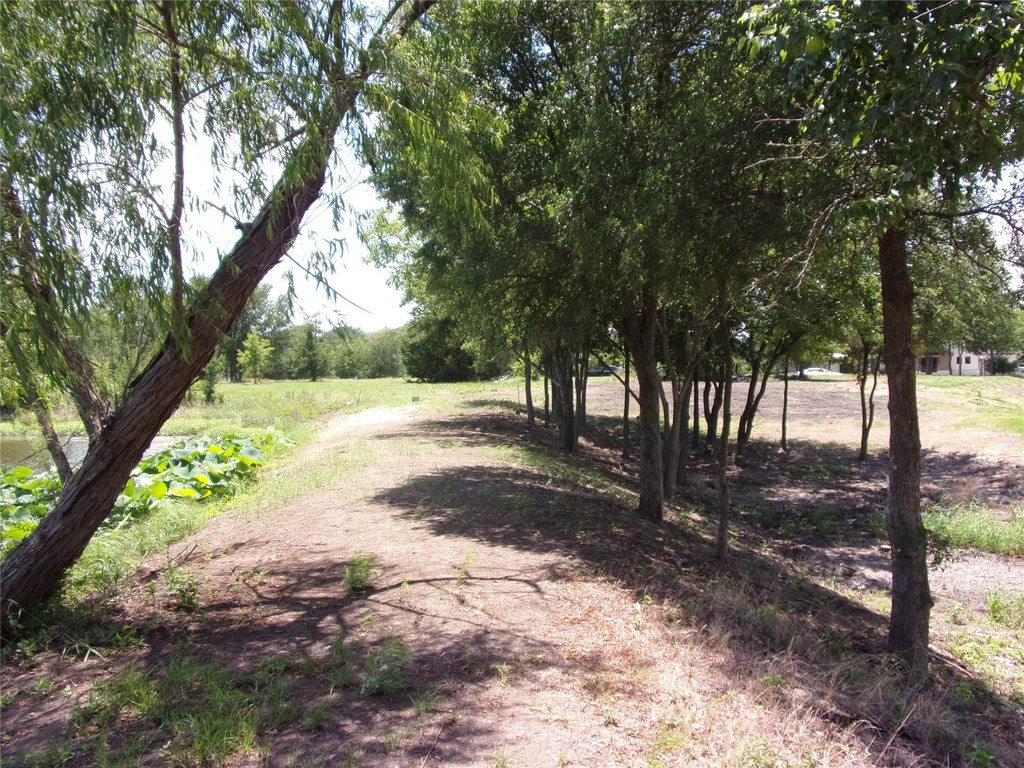 Picture 18