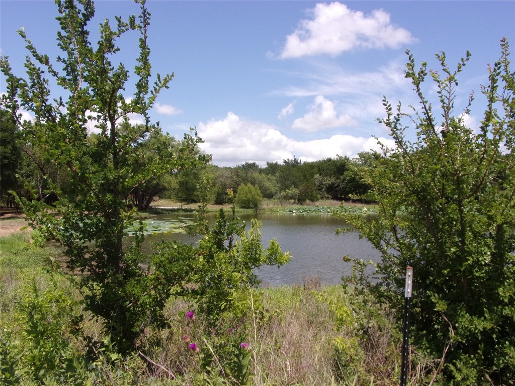 Picture 14