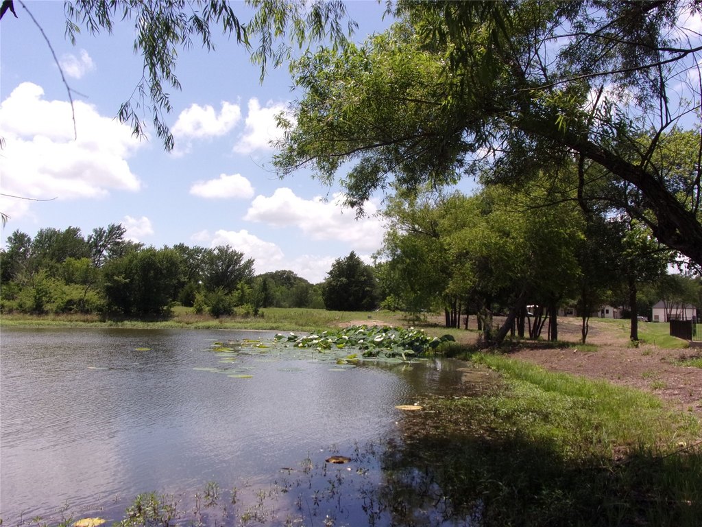 Picture 17