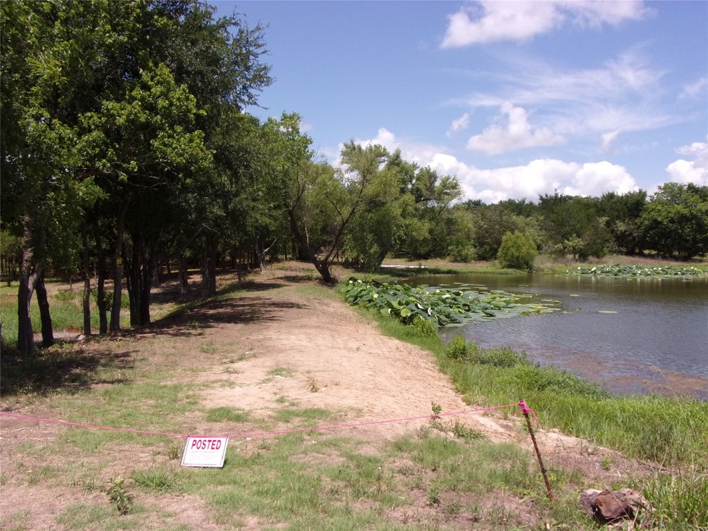 Picture 16