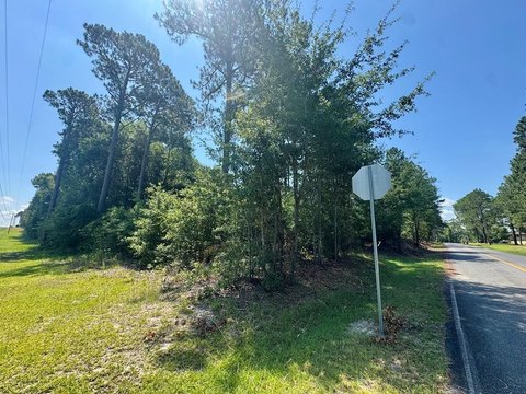 LAND - Poulan, GA