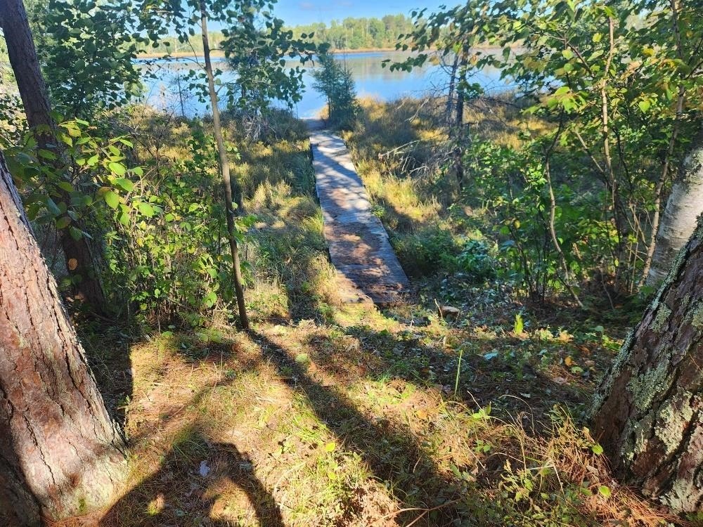 Picture 12
