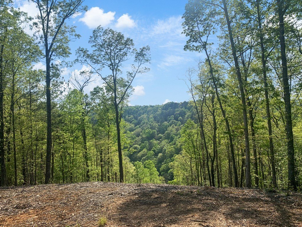 Picture 18