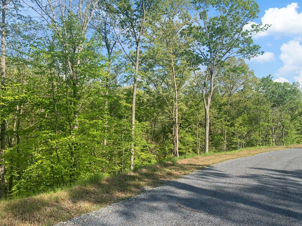 Picture 15