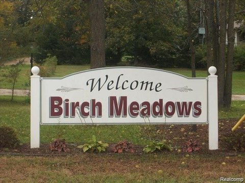 Vacant Land, Handy Twp, MI