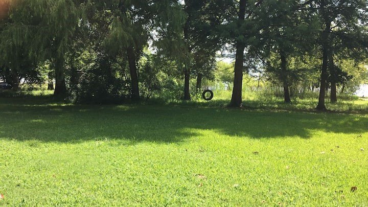 Picture 6