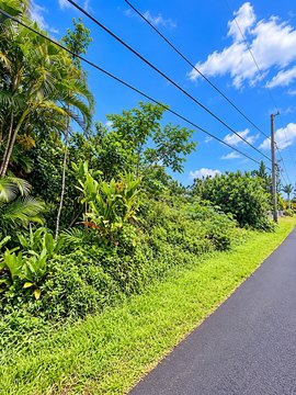 Land, Pahoa, HI