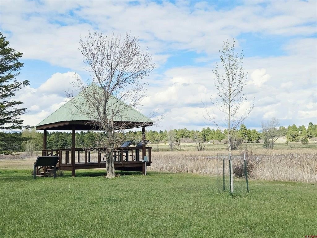 Picture 23