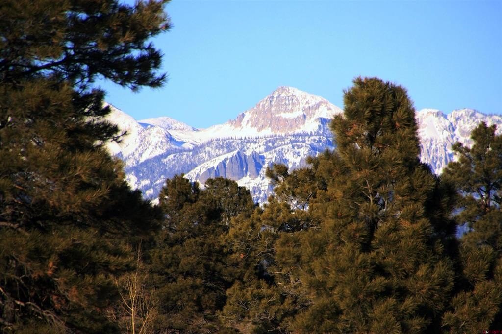 Picture 4