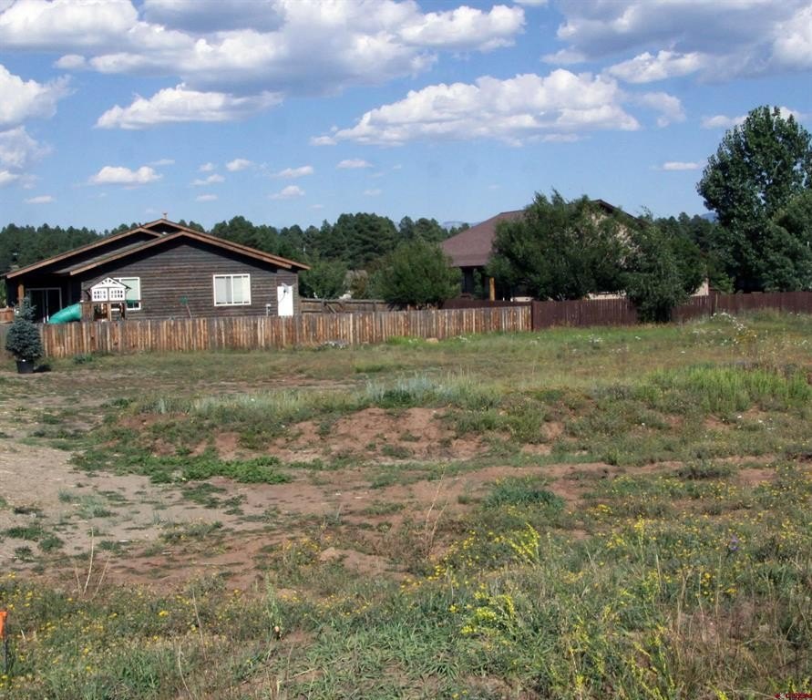 Picture 11
