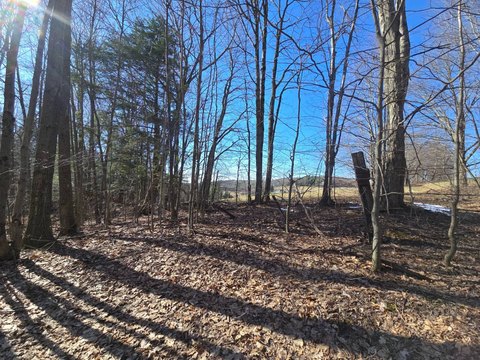 Wooded Hunting Land with Trail Access