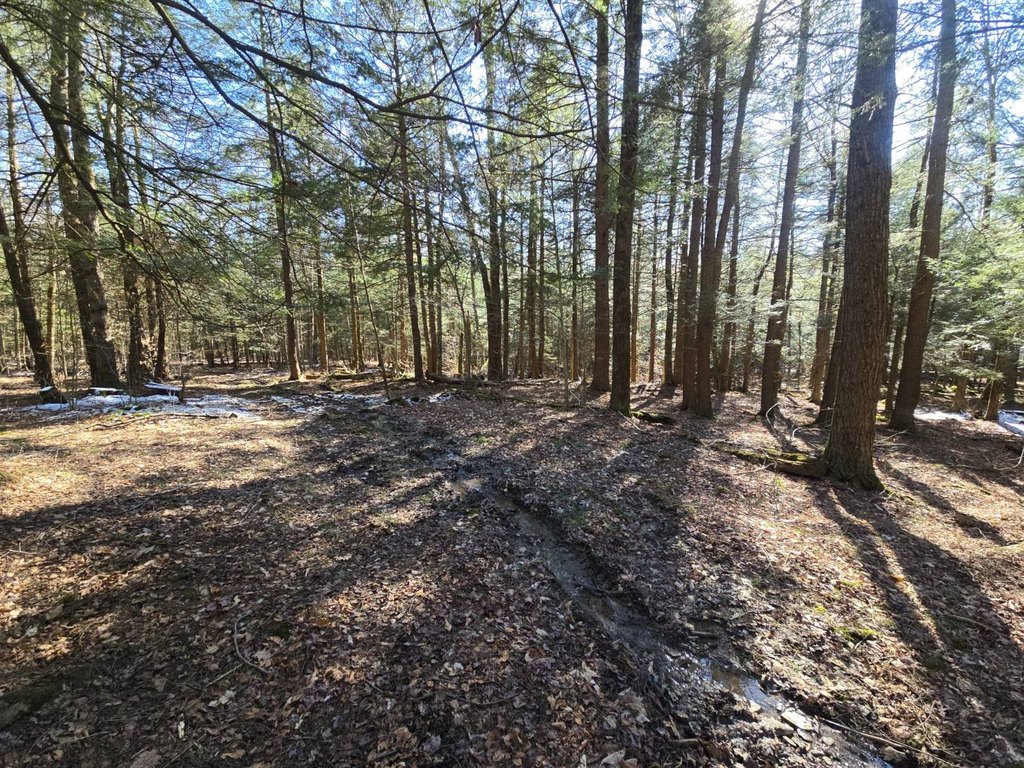 Picture 17