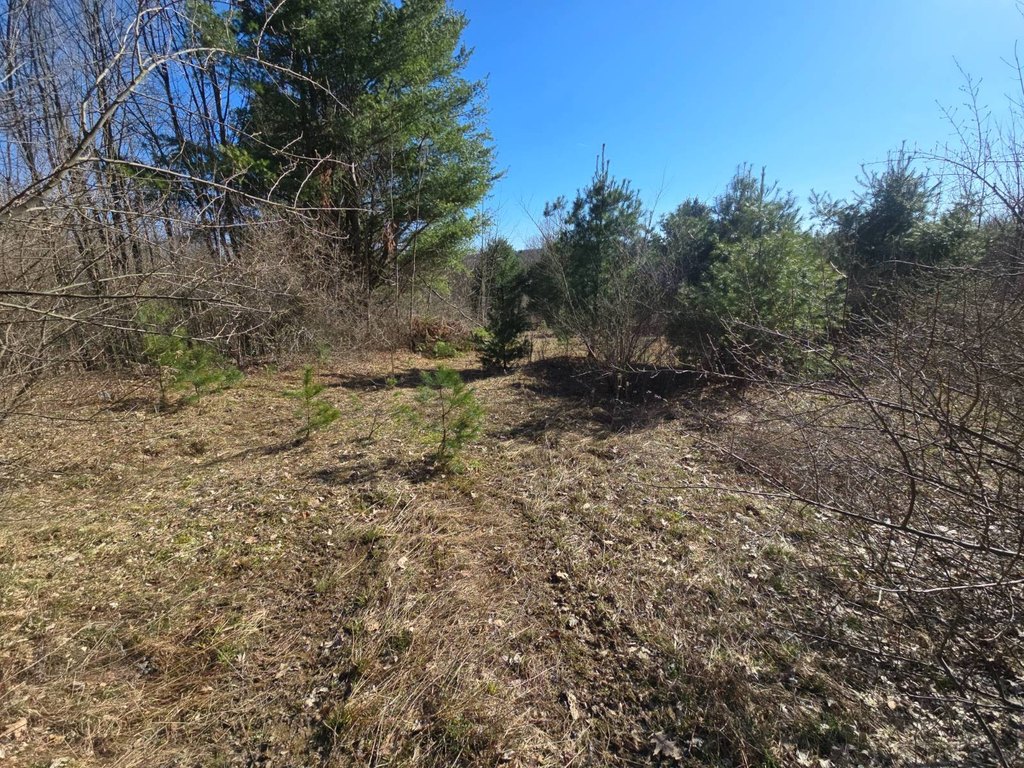 Picture 22