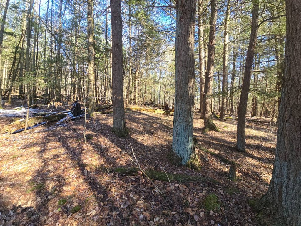 Picture 18