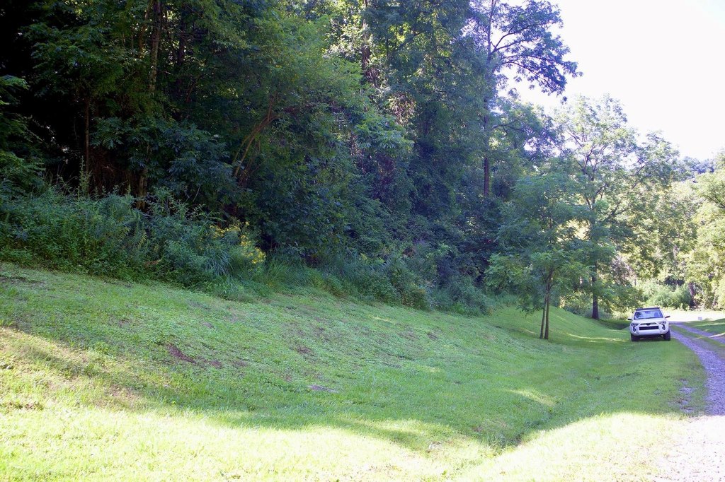 Picture 11