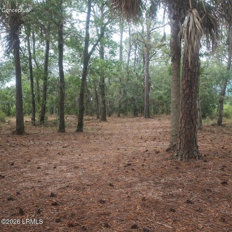 Picture 16