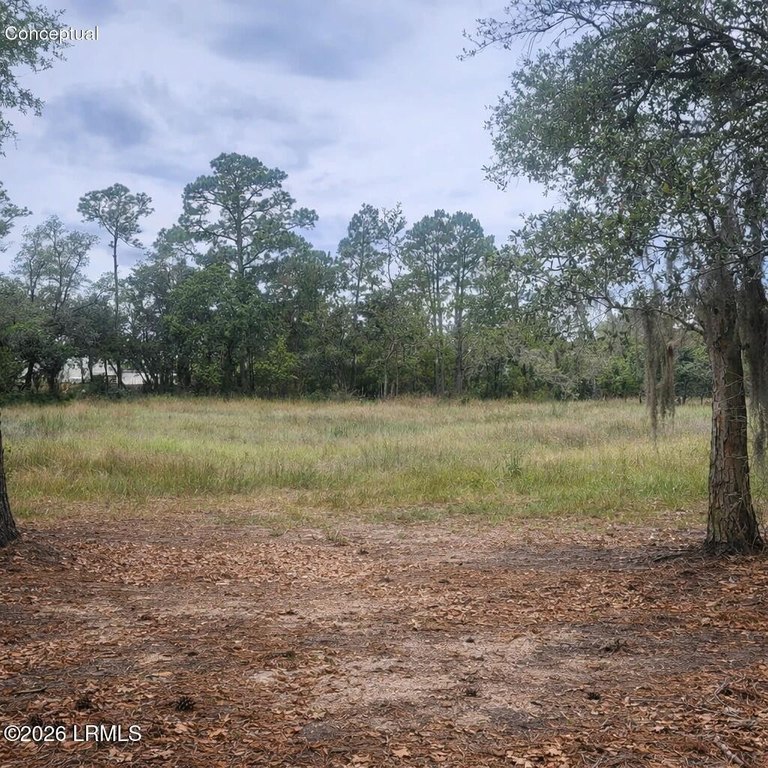 Picture 15