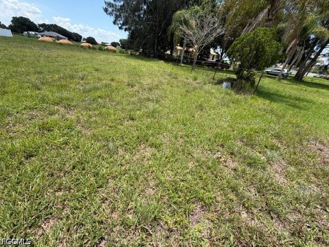 Picture 4