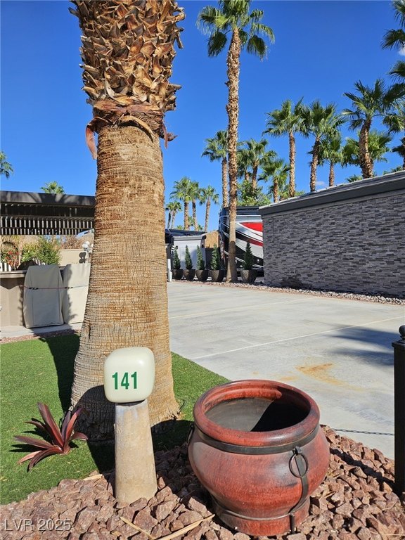 Picture 15