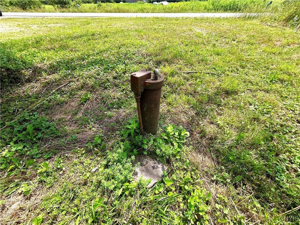 Picture 10