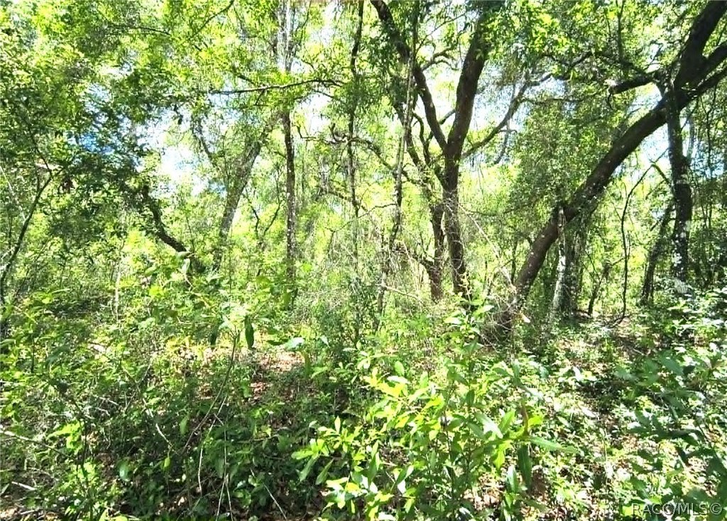 Picture 5