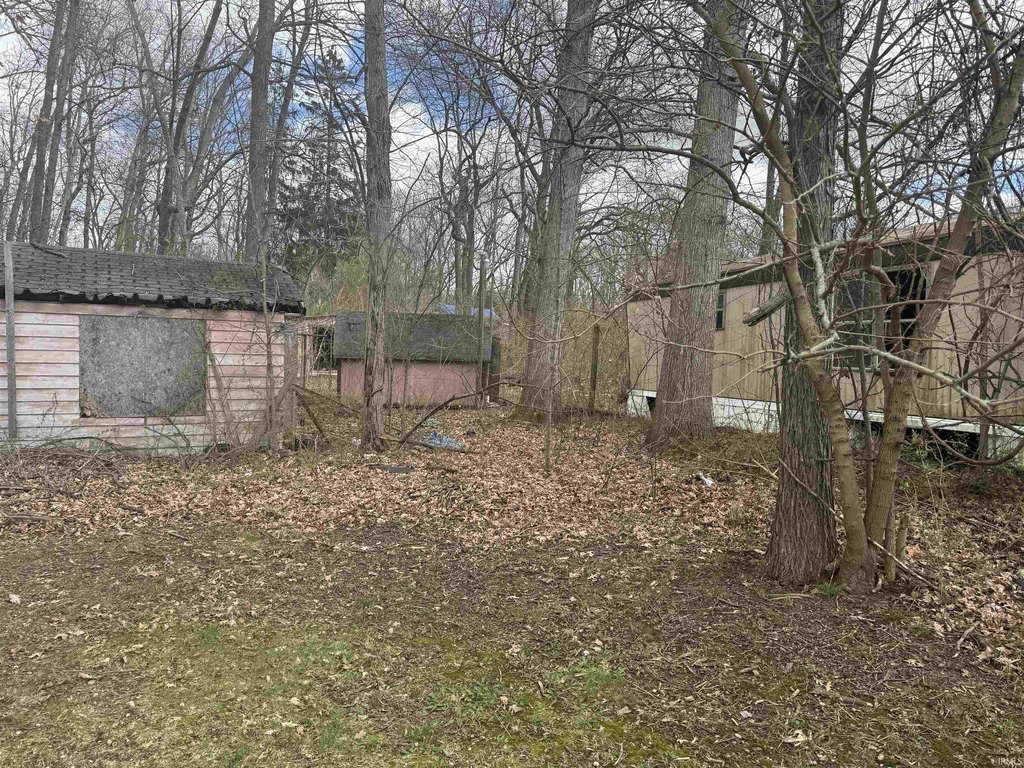 Picture 4