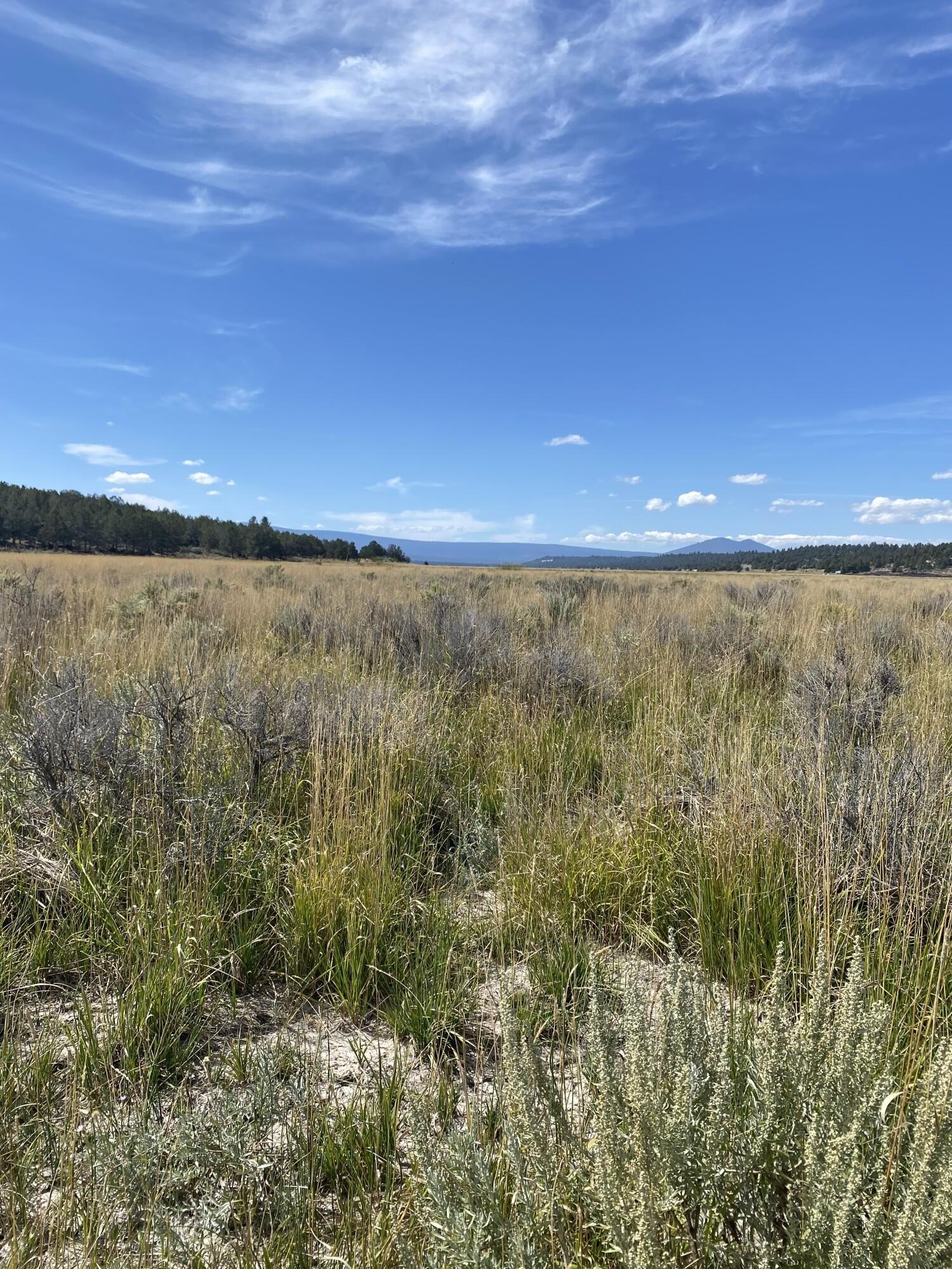 Waterfront Land in Sprague River