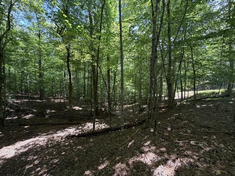 Vacant Lot, Ellijay, GA