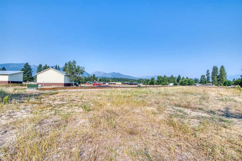 Picture 12