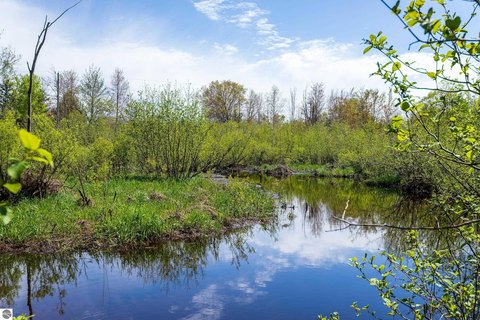 106+ Acres of Michigan Landscape