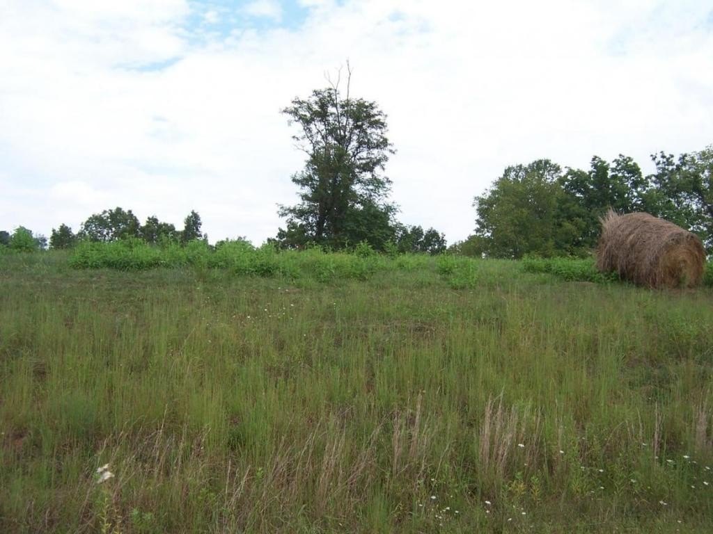 Waterfront Building Lots on South Holston