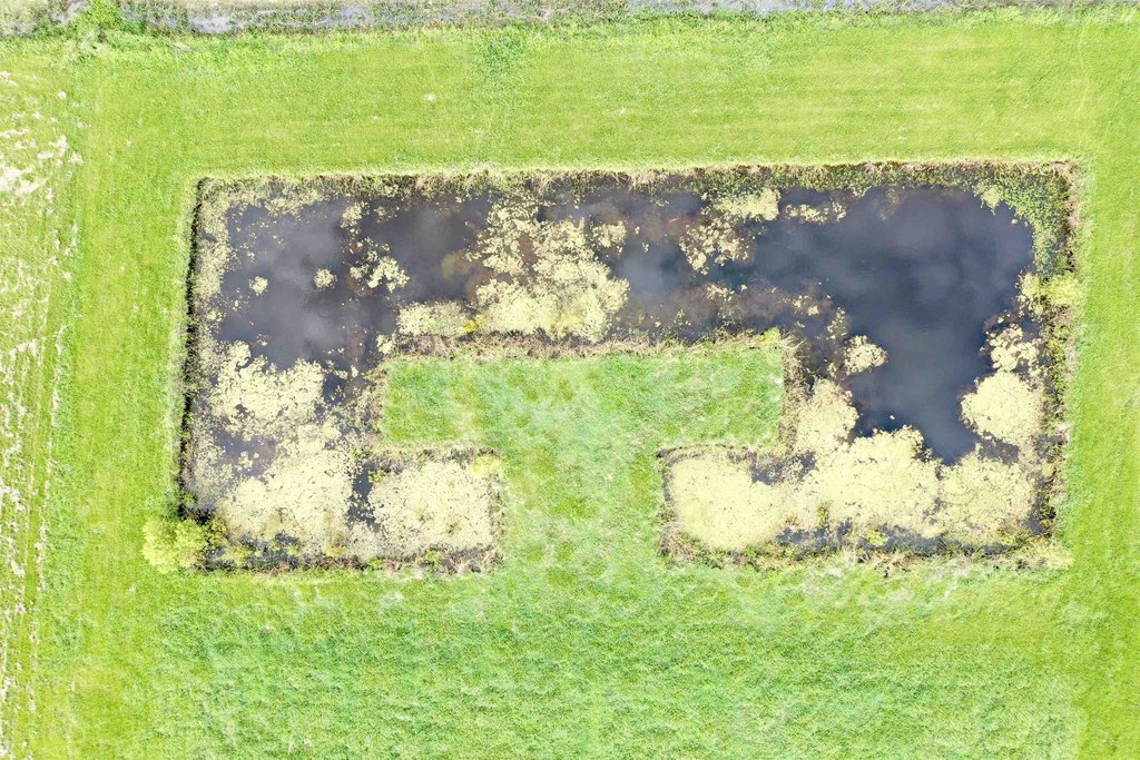 Picture 10