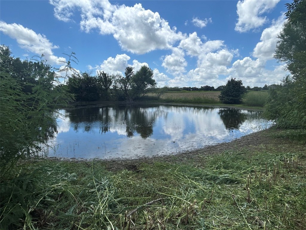 Picture 22