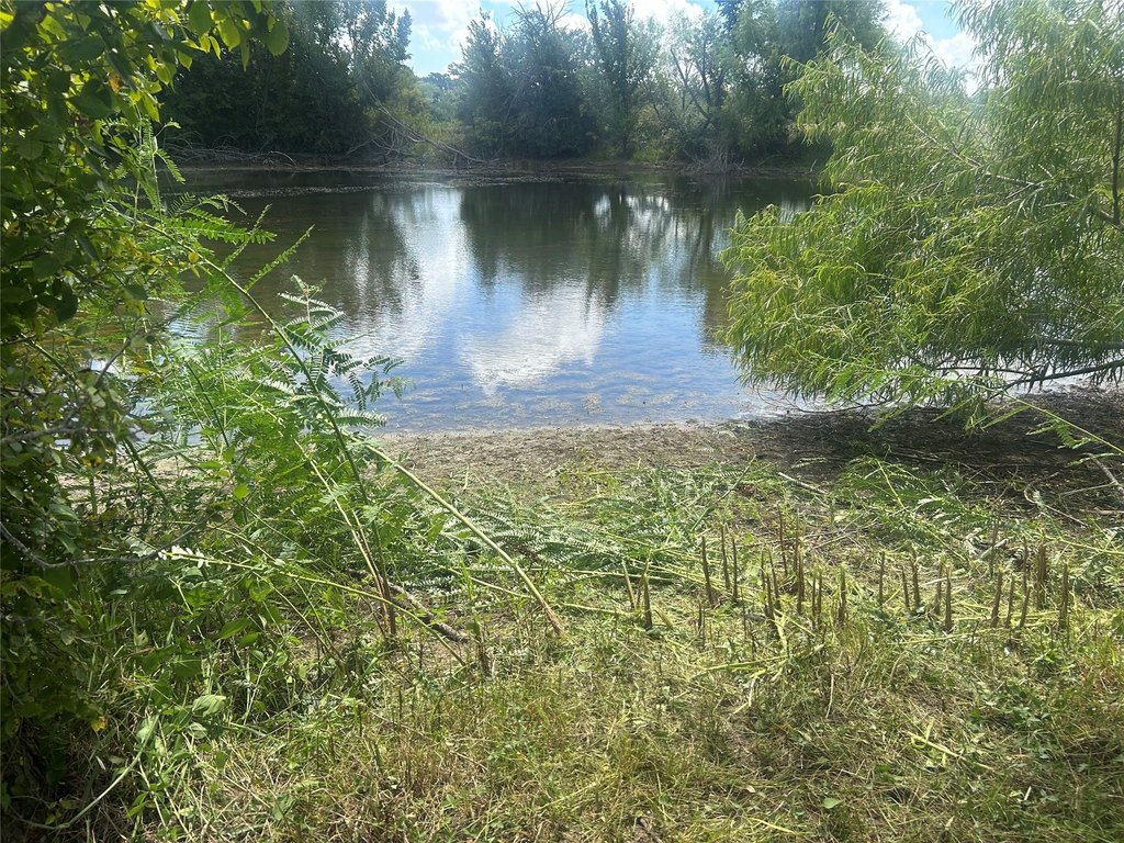 Picture 21