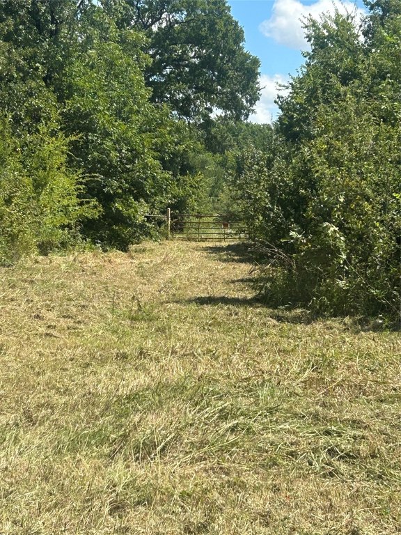 Picture 17