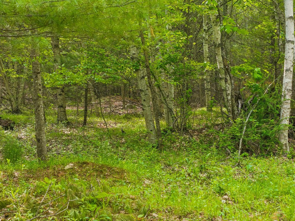 Picture 20