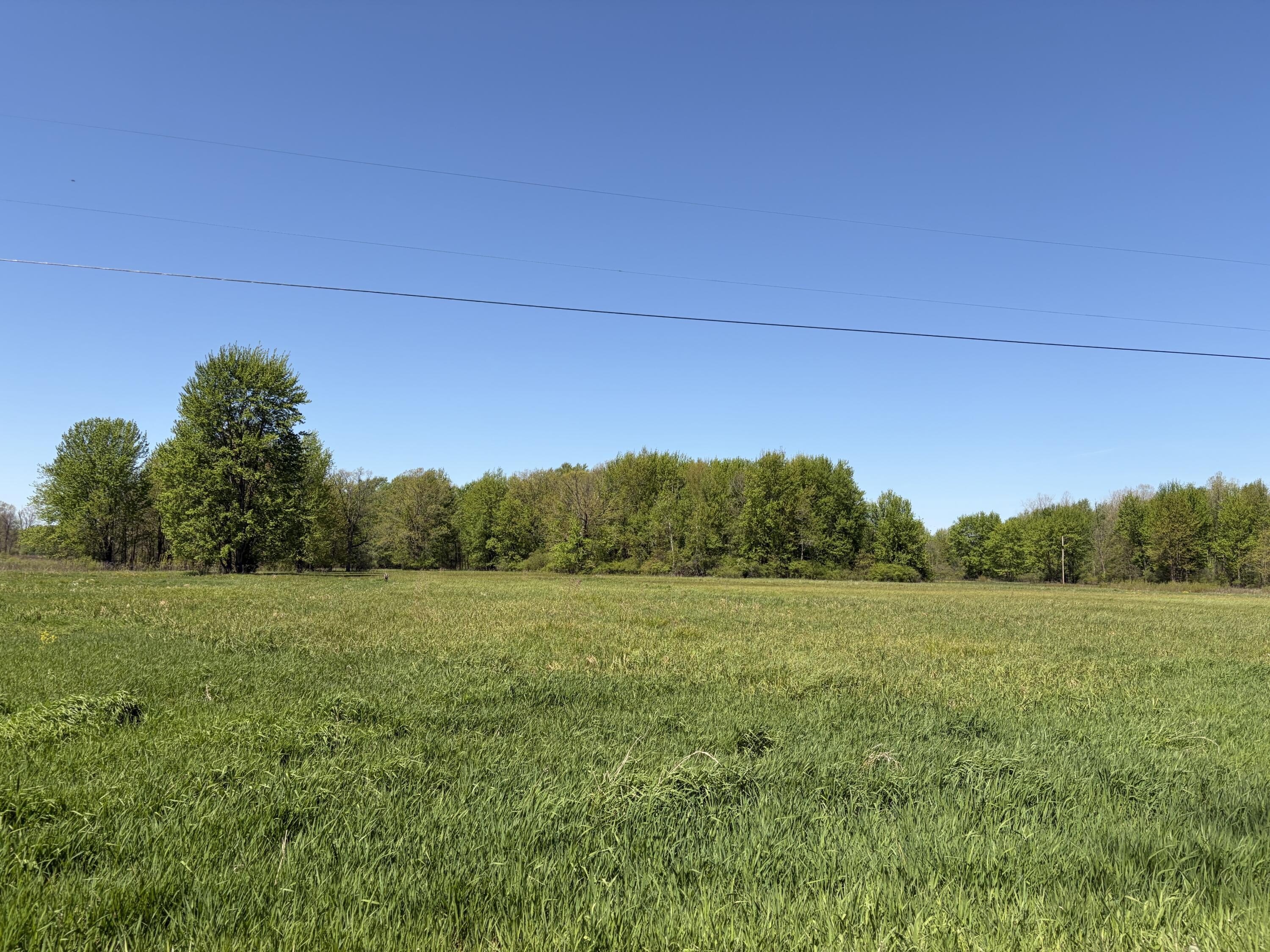 Paw Paw Land For Sale