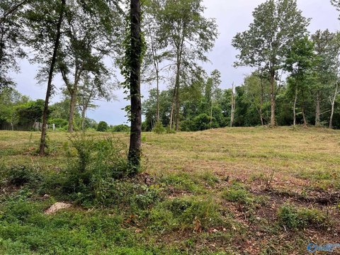 Residential Land in Guntersville, AL