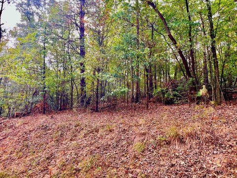 Mountain Residential Lot