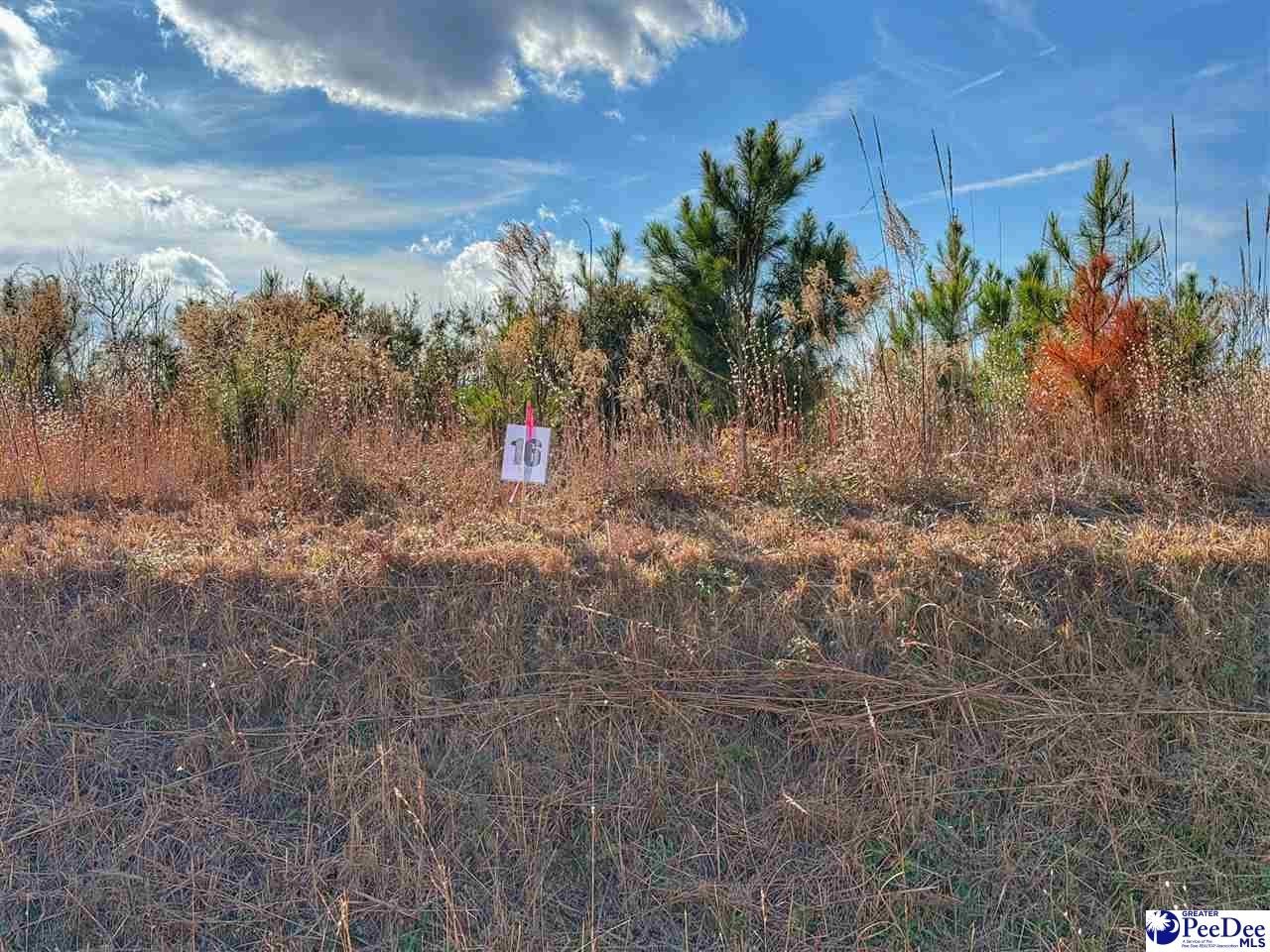 Residential Lot in Latta, SC