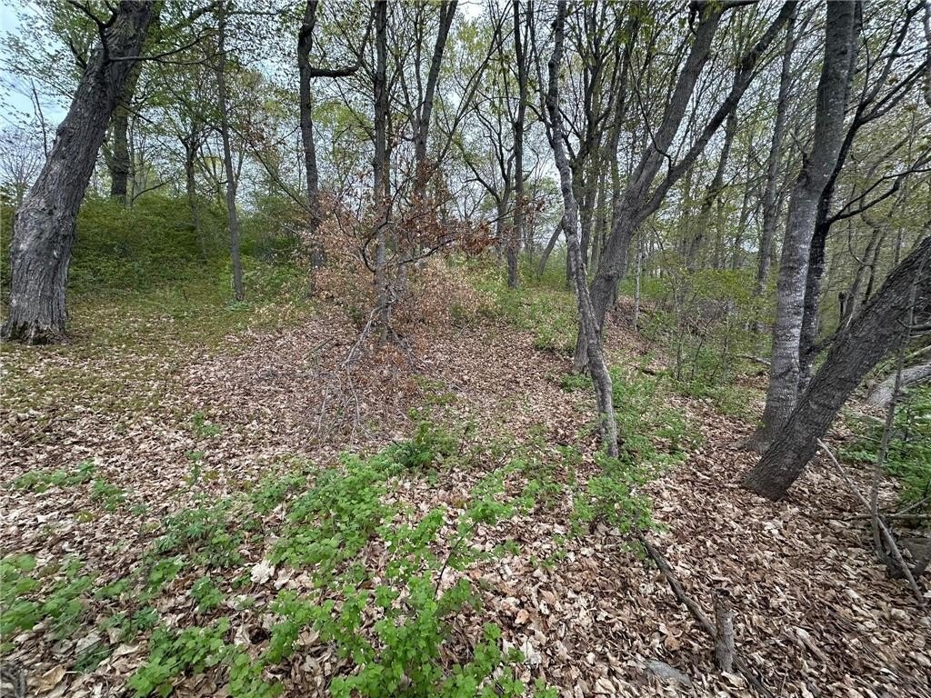 Picture 20