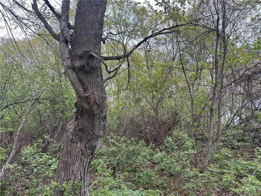 Picture 18