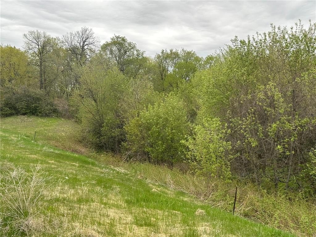 Picture 16