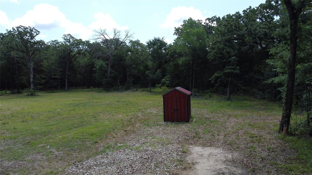 Picture 24
