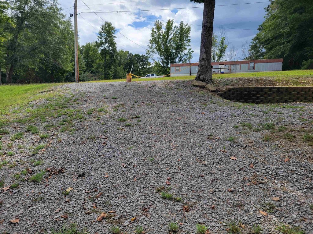 Picture 4